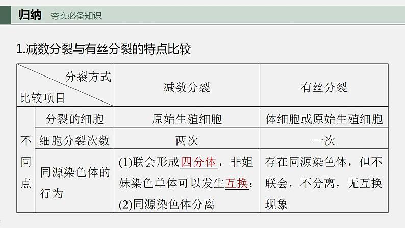 2024年高考生物一轮复习（新人教版） 第4单元　第4课时　减数分裂与有丝分裂的比较及观察蝗虫精母细胞减数分裂装片 练习课件05