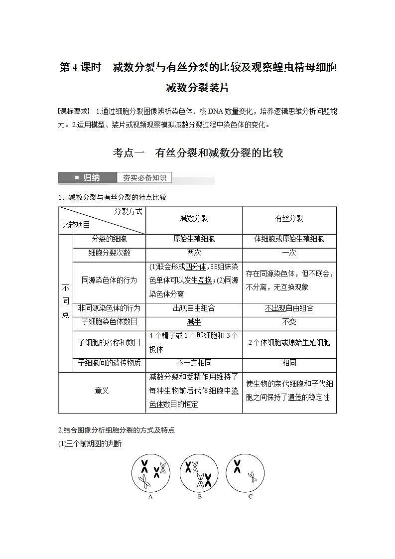2024年高考生物一轮复习（新人教版） 第4单元　第4课时　减数分裂与有丝分裂的比较及观察蝗虫精母细胞减数分裂装片 练习课件01