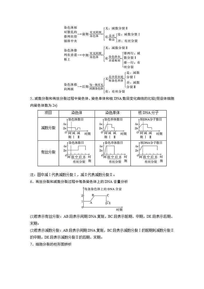 2024年高考生物一轮复习（新人教版） 第4单元　第4课时　减数分裂与有丝分裂的比较及观察蝗虫精母细胞减数分裂装片 练习课件03