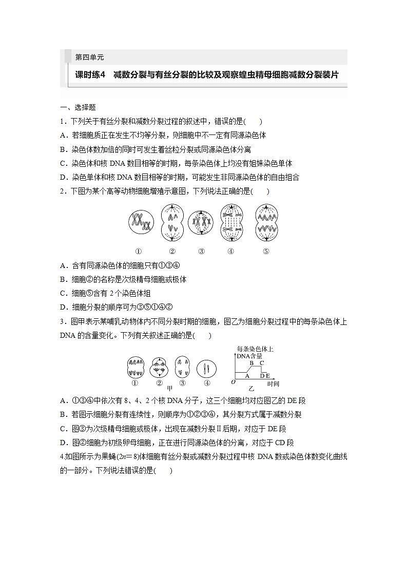 2024年高考生物一轮复习（新人教版） 第4单元　第4课时　减数分裂与有丝分裂的比较及观察蝗虫精母细胞减数分裂装片 练习课件01