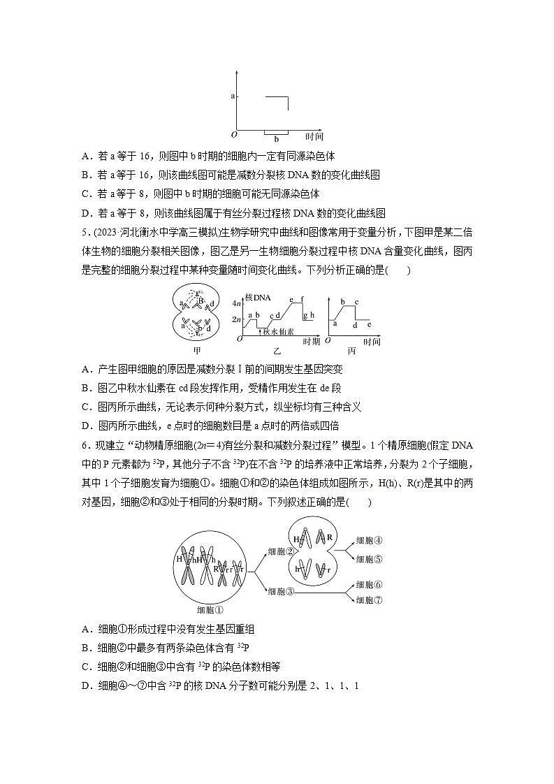 2024年高考生物一轮复习（新人教版） 第4单元　第4课时　减数分裂与有丝分裂的比较及观察蝗虫精母细胞减数分裂装片 练习课件02