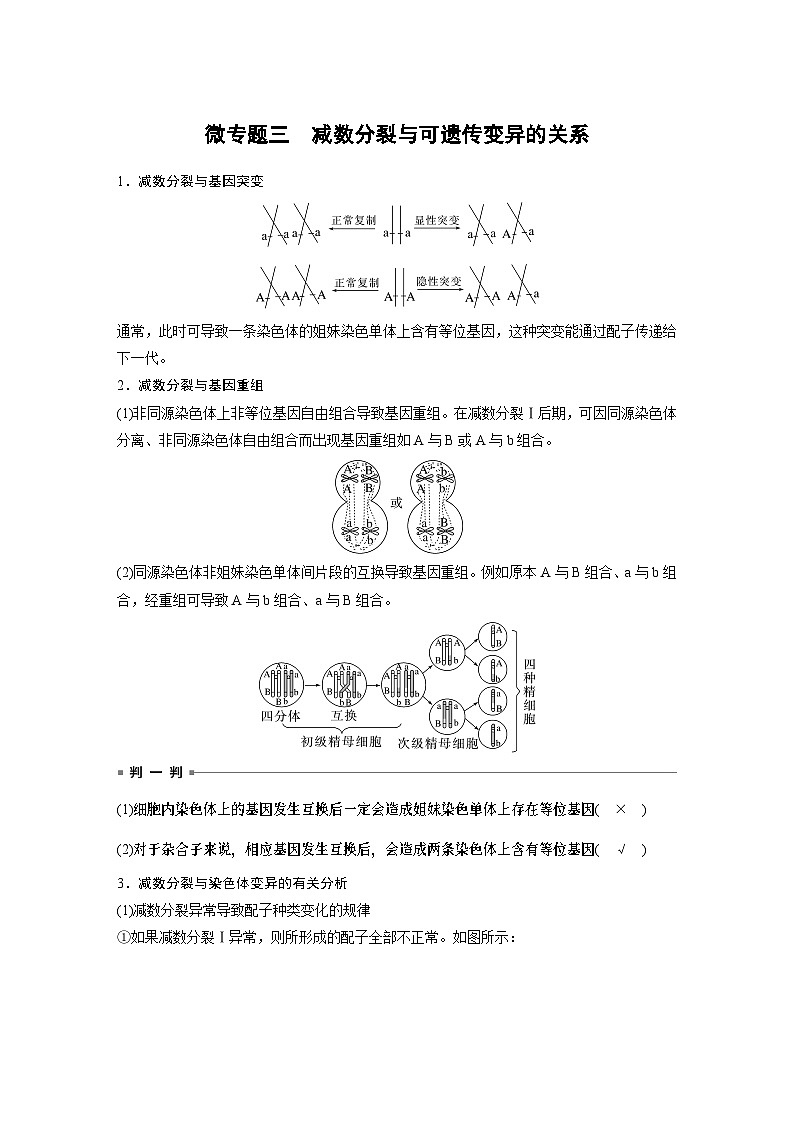 2024年高考生物一轮复习（新人教版） 第4单元　微专题三　减数分裂与可遗传变异的关系01