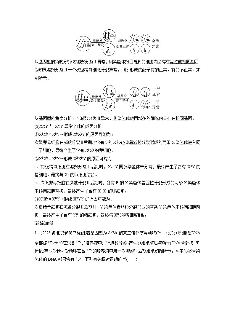 2024年高考生物一轮复习（新人教版） 第4单元　微专题三　减数分裂与可遗传变异的关系02