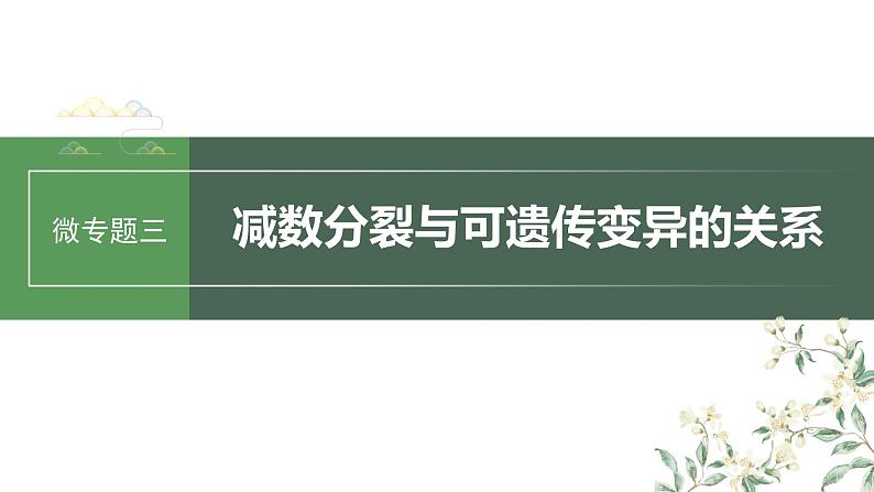 2024年高考生物一轮复习（新人教版） 第4单元　微专题三　减数分裂与可遗传变异的关系01