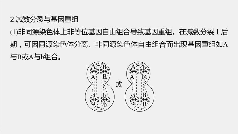 2024年高考生物一轮复习（新人教版） 第4单元　微专题三　减数分裂与可遗传变异的关系03