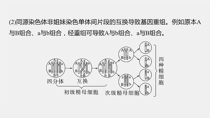 2024年高考生物一轮复习（新人教版） 第4单元　微专题三　减数分裂与可遗传变异的关系04