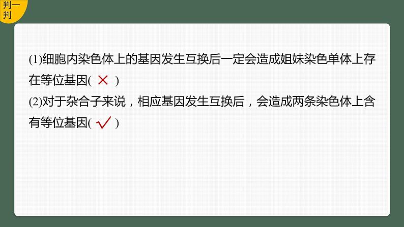 2024年高考生物一轮复习（新人教版） 第4单元　微专题三　减数分裂与可遗传变异的关系05