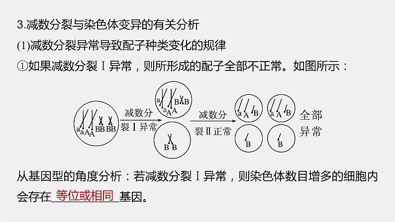 2024年高考生物一轮复习（新人教版） 第4单元　微专题三　减数分裂与可遗传变异的关系06