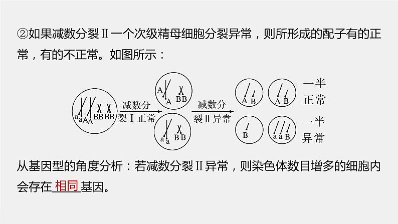 2024年高考生物一轮复习（新人教版） 第4单元　微专题三　减数分裂与可遗传变异的关系07