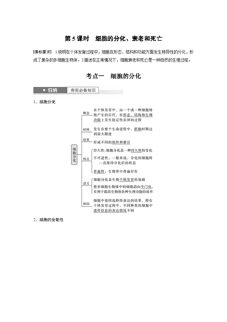 2024年高考生物一轮复习（新人教版） 第4单元　第5课时　细胞的分化、衰老和死亡 练习课件01