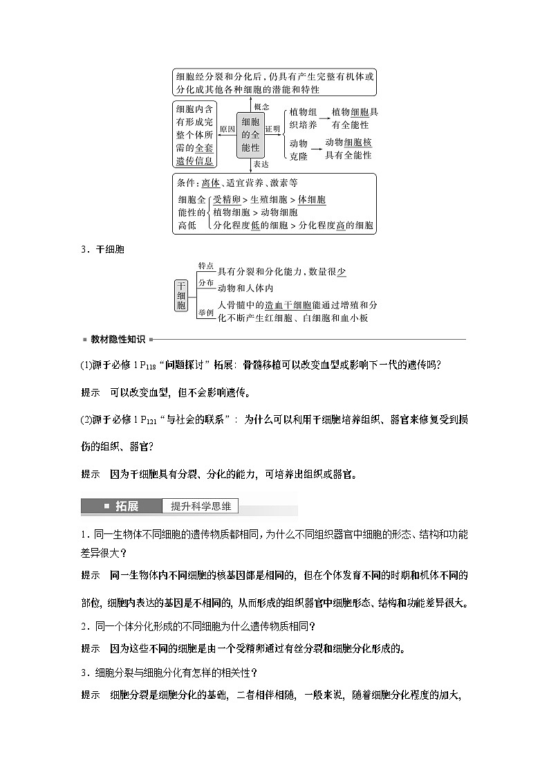 2024年高考生物一轮复习（新人教版） 第4单元　第5课时　细胞的分化、衰老和死亡 练习课件02