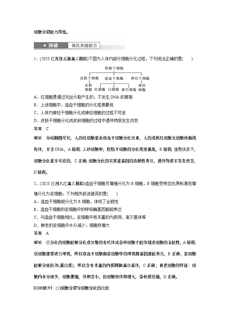 2024年高考生物一轮复习（新人教版） 第4单元　第5课时　细胞的分化、衰老和死亡 练习课件03