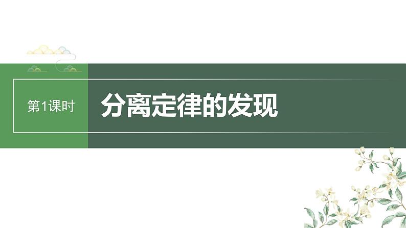 2024年高考生物一轮复习（新人教版） 第5单元　第1课时　分离定律的发现 练习课件01