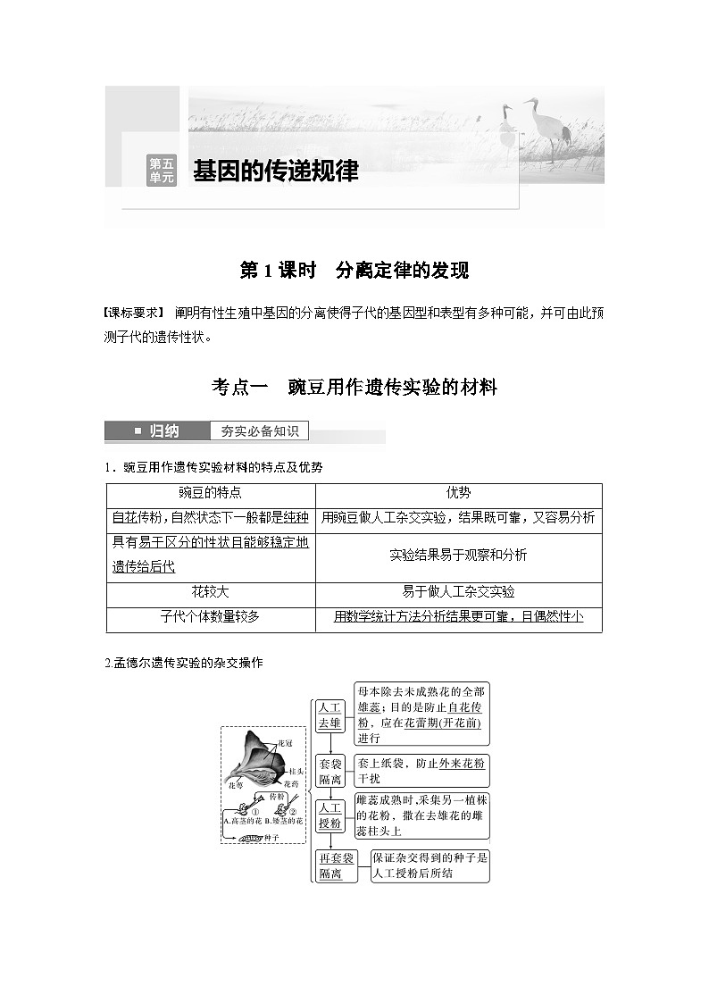 2024年高考生物一轮复习（新人教版） 第5单元　第1课时　分离定律的发现 练习课件01