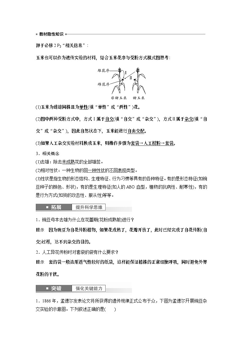 2024年高考生物一轮复习（新人教版） 第5单元　第1课时　分离定律的发现 练习课件02