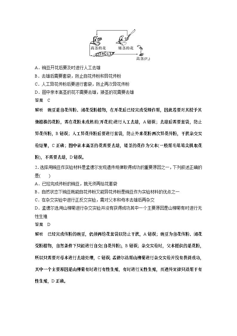 2024年高考生物一轮复习（新人教版） 第5单元　第1课时　分离定律的发现 练习课件03