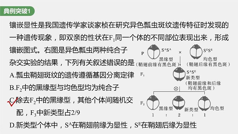 2024年高考生物一轮复习（新人教版） 第5单元　第3课时　基因分离定律拓展题型突破04