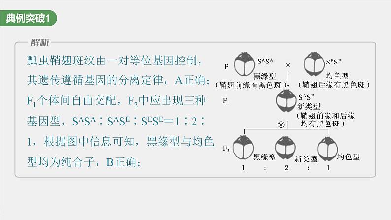 2024年高考生物一轮复习（新人教版） 第5单元　第3课时　基因分离定律拓展题型突破05