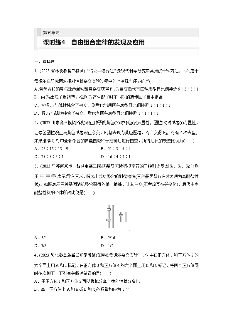 第5单元　课时练4　自由组合定律的发现及应用第1页