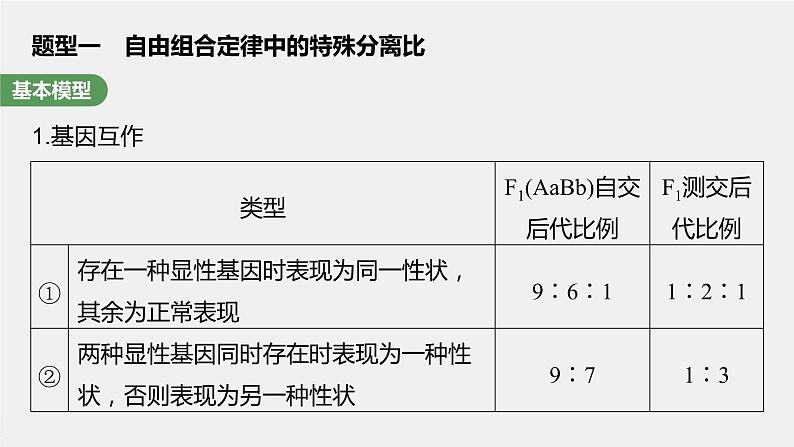 2024年高考生物一轮复习（新人教版） 第5单元　第6课时　基因自由组合定律拓展题型突破第3页