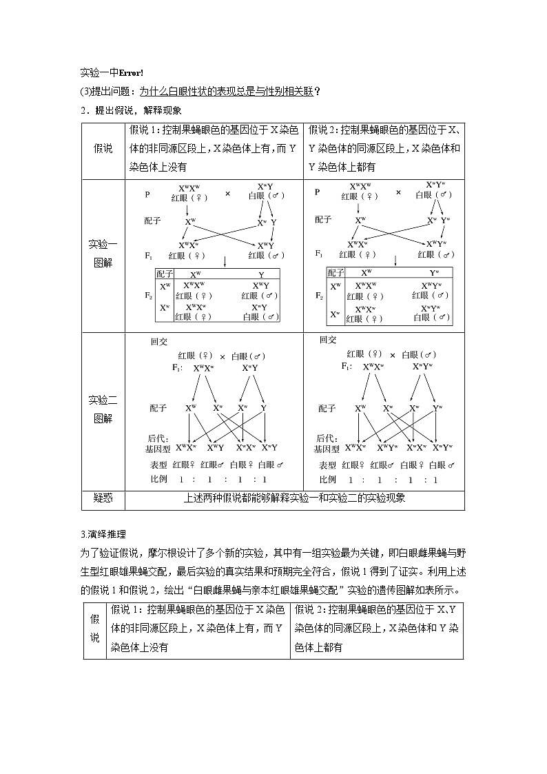 2024年高考生物一轮复习（新人教版） 第5单元　第7课时　基因在染色体上的假说与证据第3页