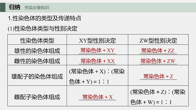 2024年高考生物一轮复习（新人教版） 第5单元　第8课时　伴性遗传的特点与应用及人类遗传病第5页