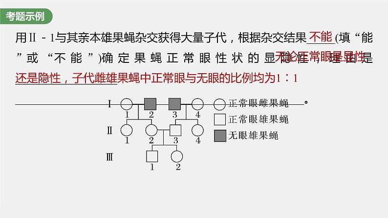 2024年高考生物一轮复习（新人教版） 第5单元　长句表达(三)　遗传实验中相关推理分析第3页