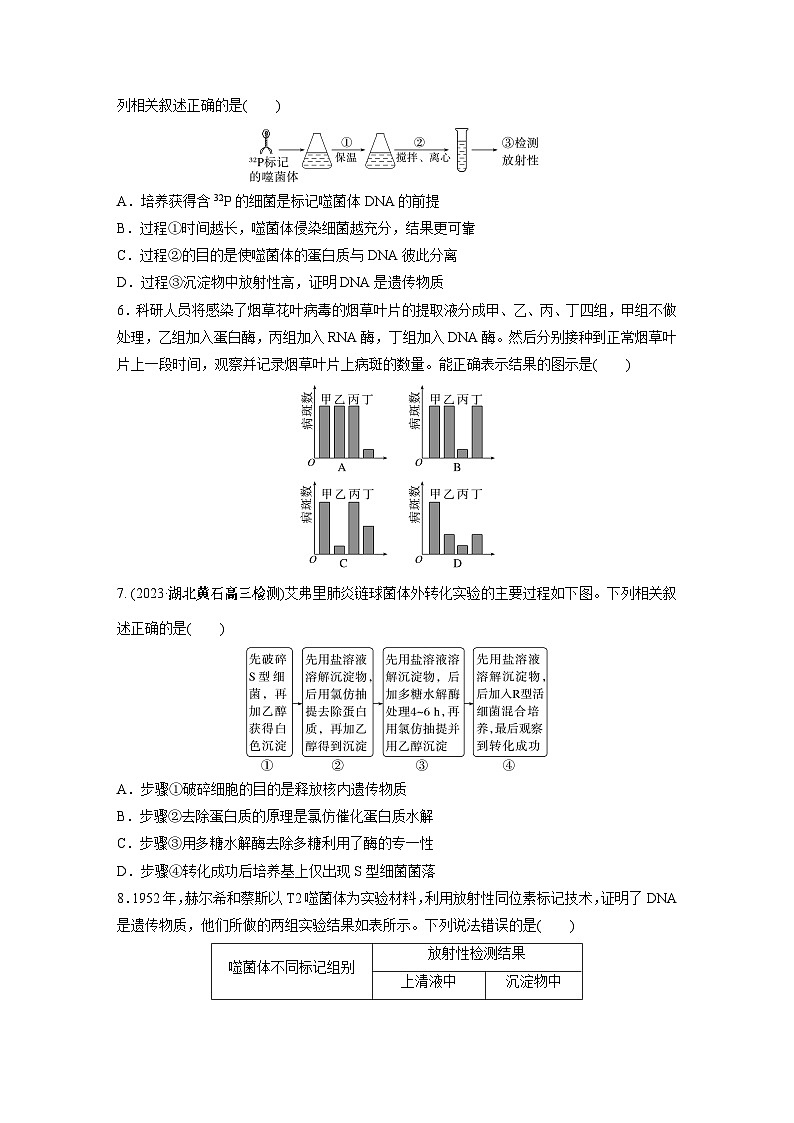 第6单元　课时练1　DNA是主要的遗传物质第2页