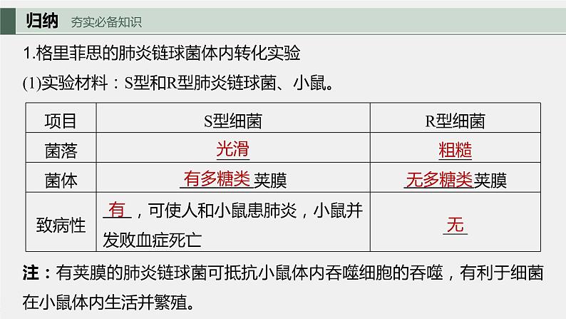 2024年高考生物一轮复习（新人教版） 第6单元　第1课时　DNA是主要的遗传物质 练习课件05