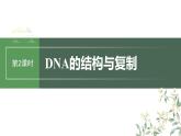 2024年高考生物一轮复习（新人教版） 第6单元　第2课时　DNA的结构与复制 练习课件