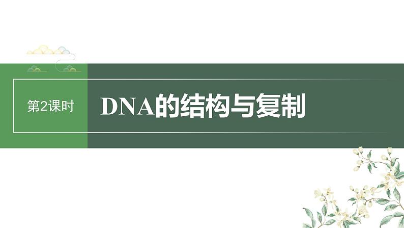 2024年高考生物一轮复习（新人教版） 第6单元　第2课时　DNA的结构与复制 练习课件01