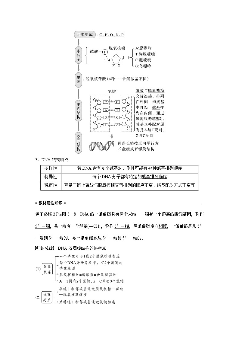 2024年高考生物一轮复习（新人教版） 第6单元　第2课时　DNA的结构与复制第2页