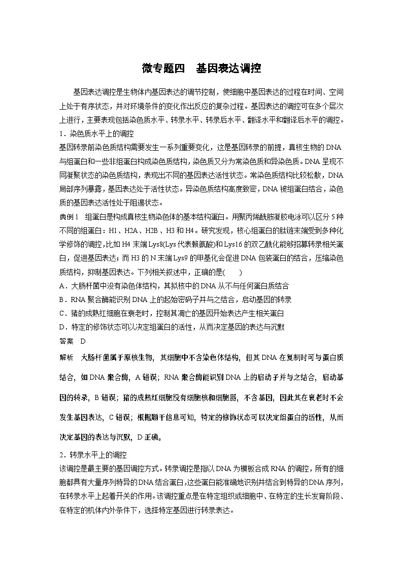 2024年高考生物一轮复习（新人教版） 第6单元　微专题四　基因表达调控01