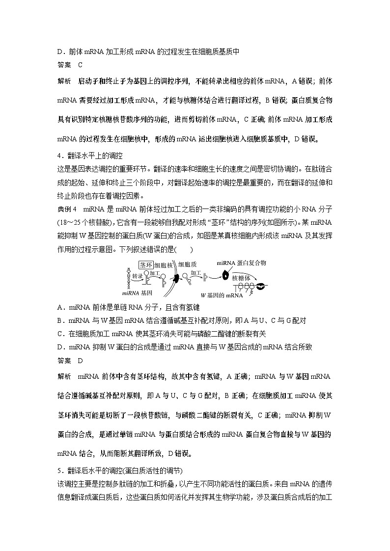 2024年高考生物一轮复习（新人教版） 第6单元　微专题四　基因表达调控03