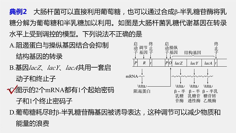 2024年高考生物一轮复习（新人教版） 第6单元　微专题四　基因表达调控07