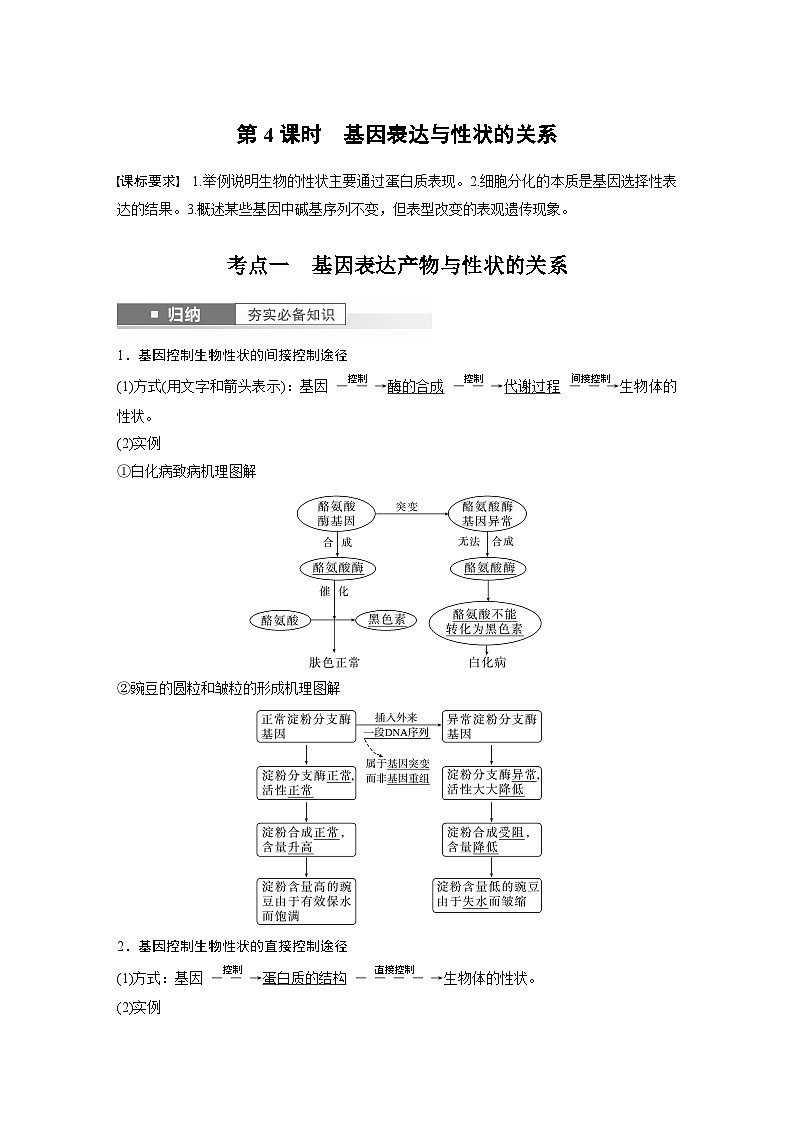 2024年高考生物一轮复习（新人教版） 第6单元　第4课时　基因表达与性状的关系第1页