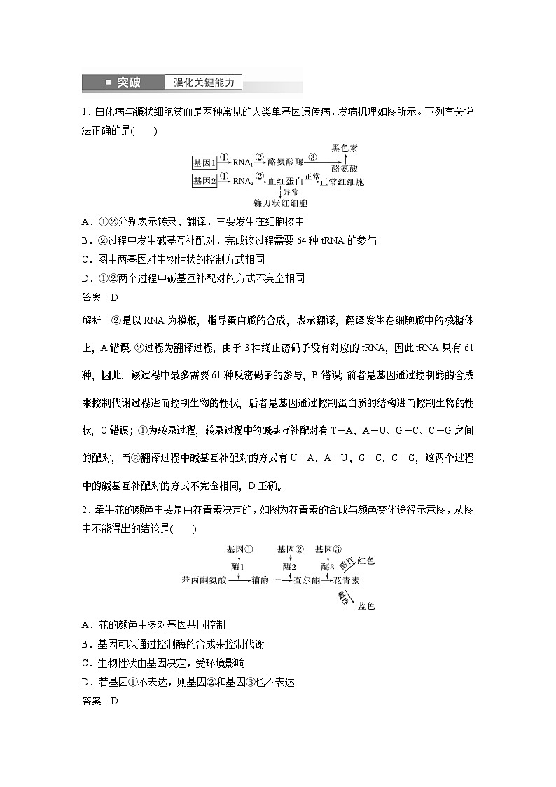 2024年高考生物一轮复习（新人教版） 第6单元　第4课时　基因表达与性状的关系第3页