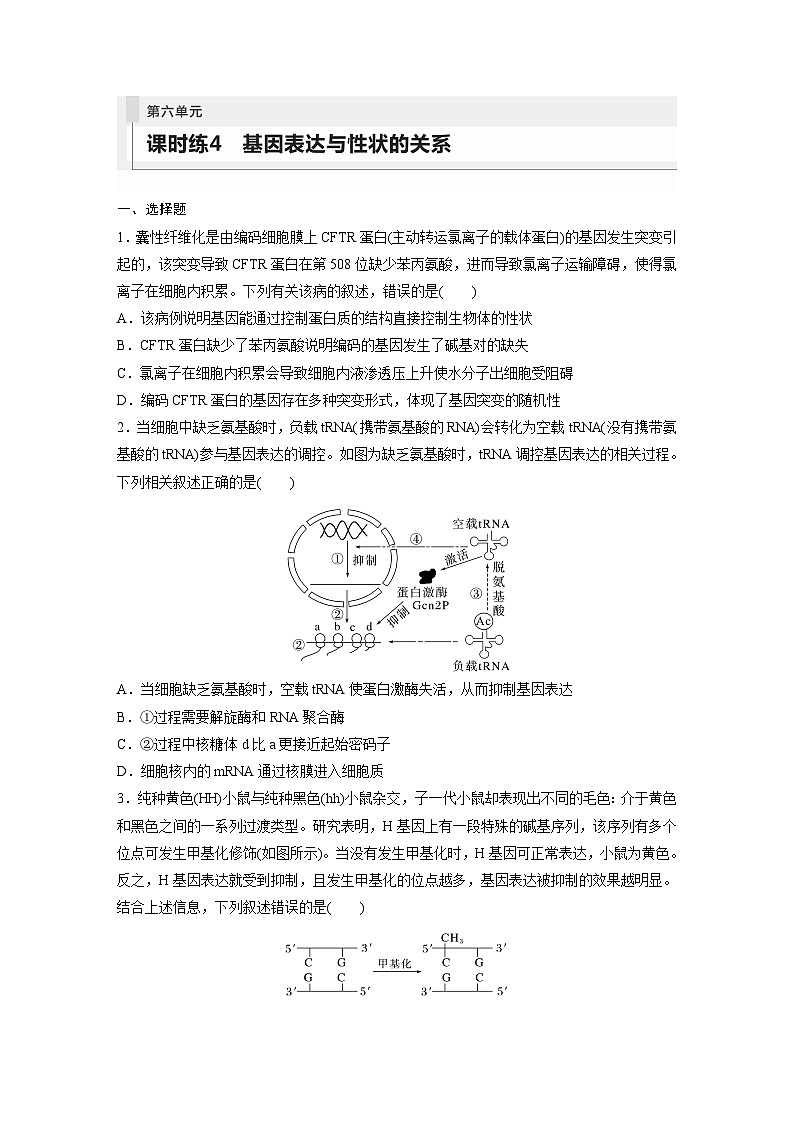 第6单元　课时练4　基因表达与性状的关系第1页