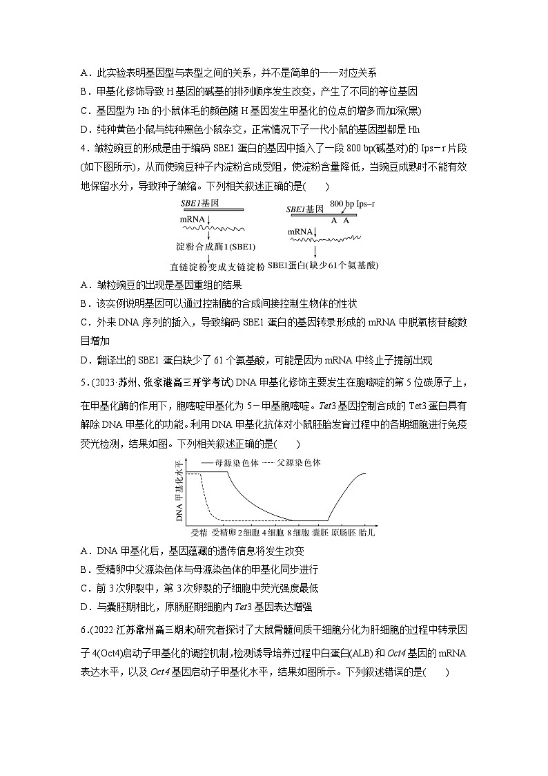 第6单元　课时练4　基因表达与性状的关系第2页