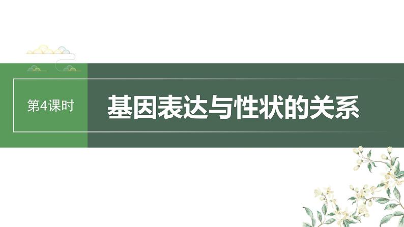 2024年高考生物一轮复习（新人教版） 第6单元　第4课时　基因表达与性状的关系第1页