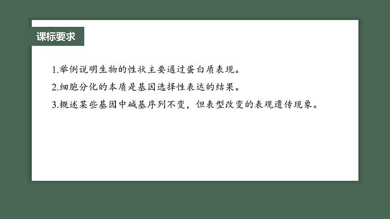 2024年高考生物一轮复习（新人教版） 第6单元　第4课时　基因表达与性状的关系第2页