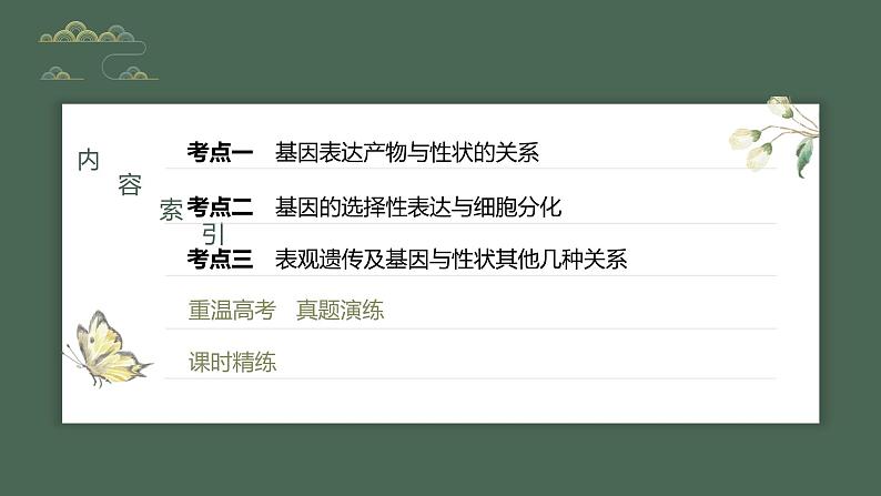 2024年高考生物一轮复习（新人教版） 第6单元　第4课时　基因表达与性状的关系第3页