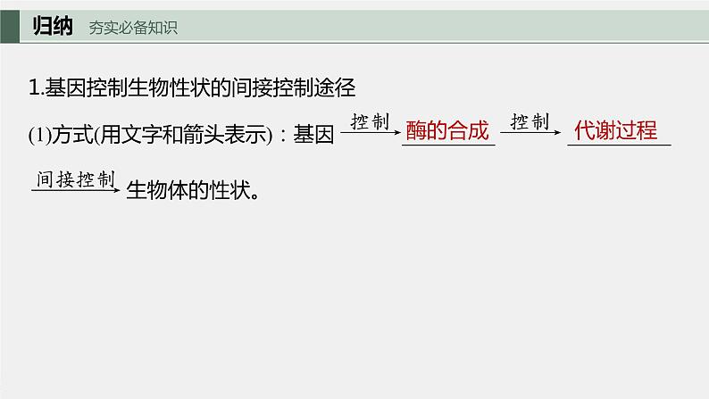 2024年高考生物一轮复习（新人教版） 第6单元　第4课时　基因表达与性状的关系第5页