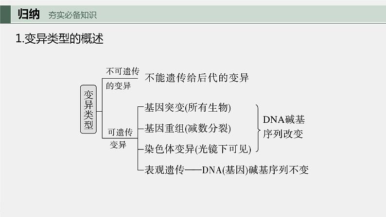 2024年高考生物一轮复习（新人教版） 第7单元　第1课时　基因突变与基因重组第5页