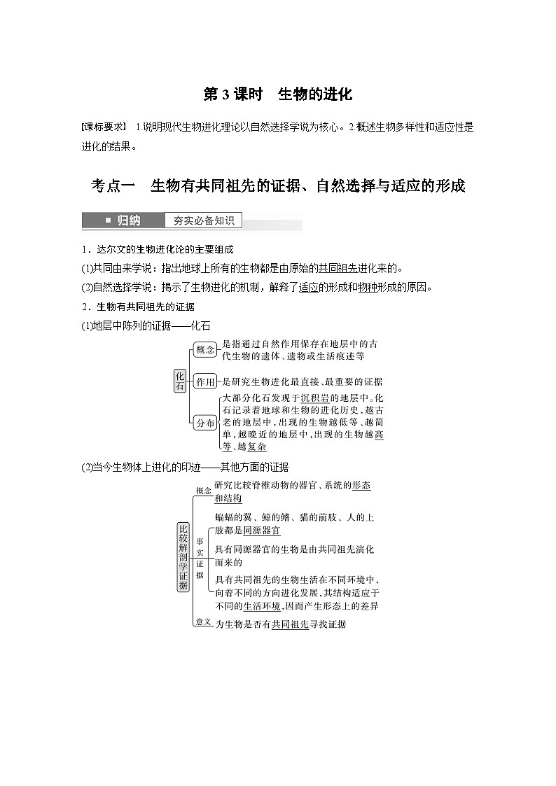 2024年高考生物一轮复习（新人教版） 第7单元　第3课时　生物的进化 练习课件01