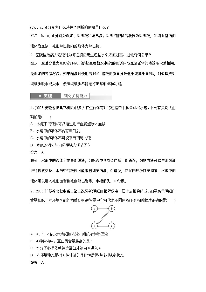 2024年高考生物一轮复习（新人教版） 第8单元　第1课时　人体的内环境与稳态 练习课件03