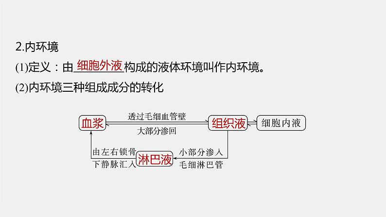 2024年高考生物一轮复习（新人教版） 第8单元　第1课时　人体的内环境与稳态 练习课件06