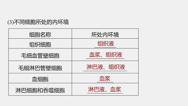 2024年高考生物一轮复习（新人教版） 第8单元　第1课时　人体的内环境与稳态 练习课件07