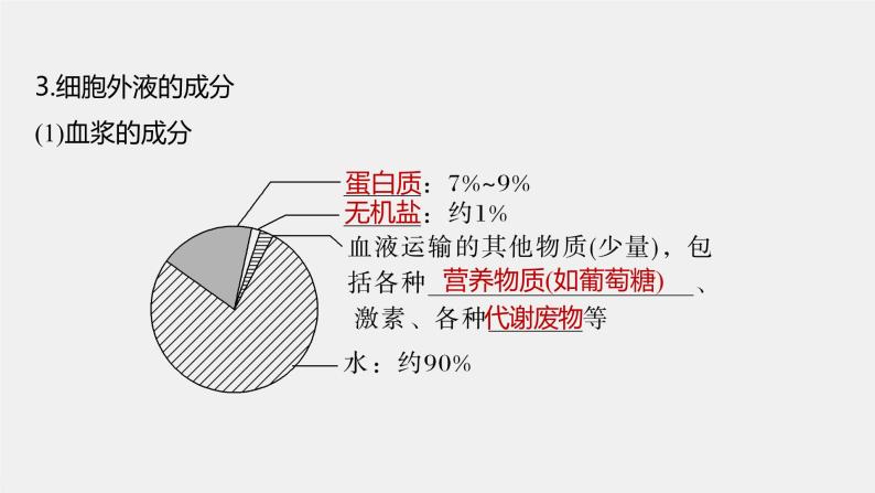 2024年高考生物一轮复习（新人教版） 第8单元　第1课时　人体的内环境与稳态 练习课件08