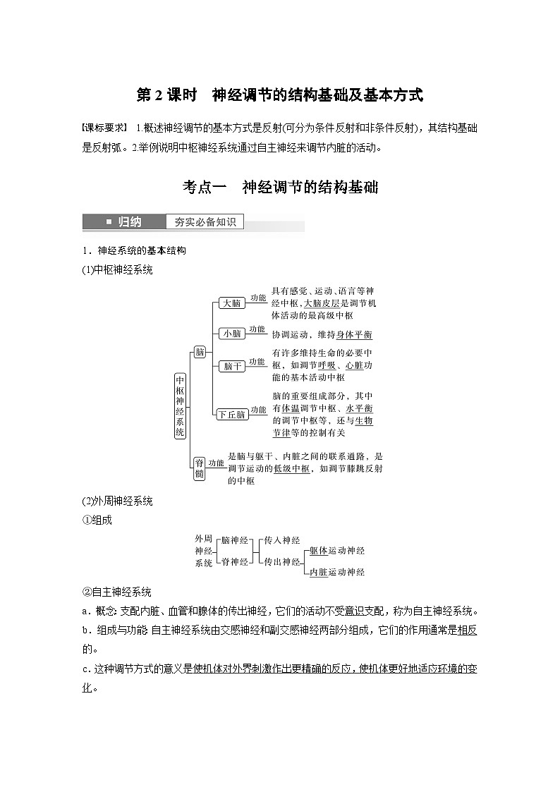 2024年高考生物一轮复习（新人教版） 第8单元　第2课时　神经调节的结构基础及基本方式 练习课件01